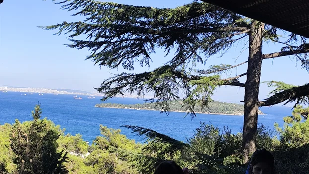 Lunapark Restaurant resimleri