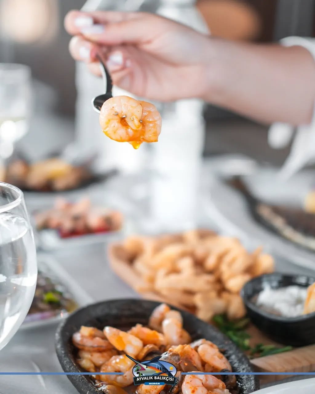 Ayvalık Balıkçısı Aliağa