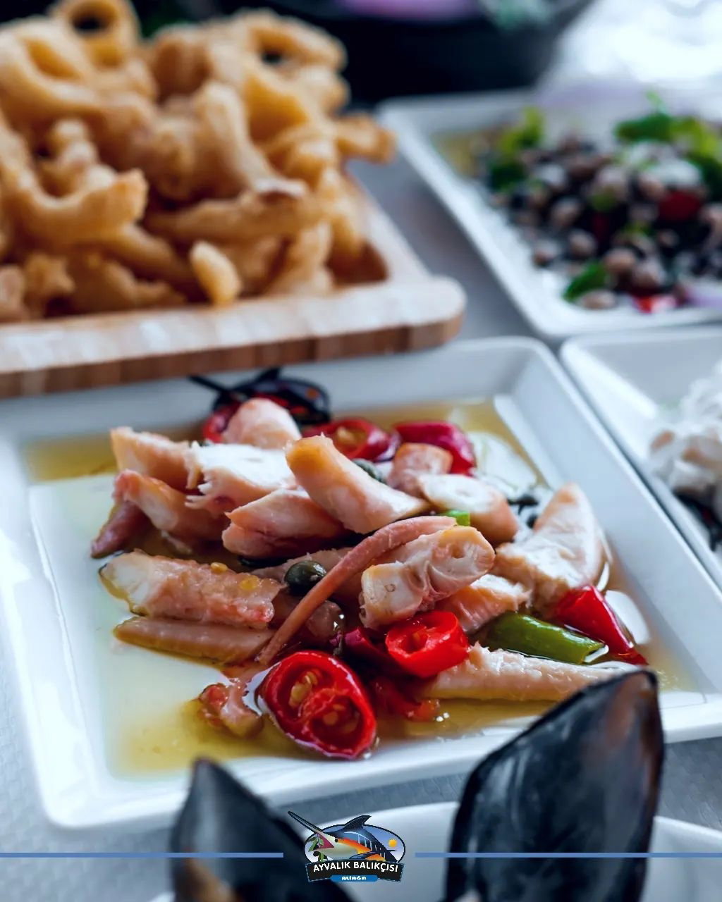 Ayvalık Balıkçısı Aliağa