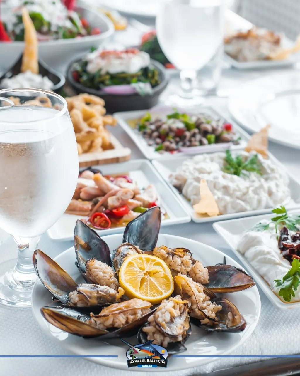 Ayvalık Balıkçısı Aliağa