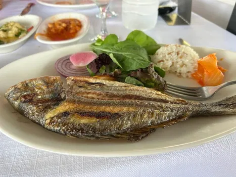 Lara Balık resimleri