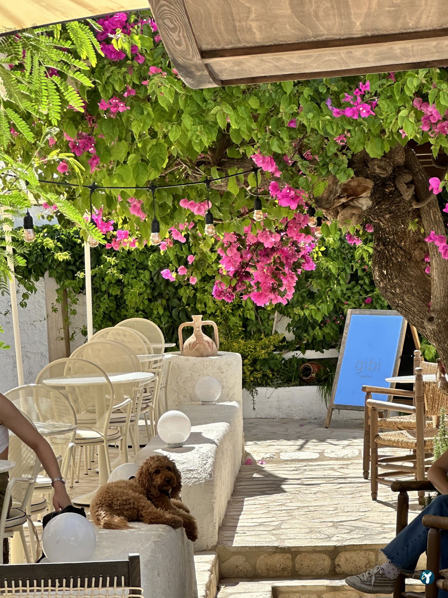 Gibi Bodrum