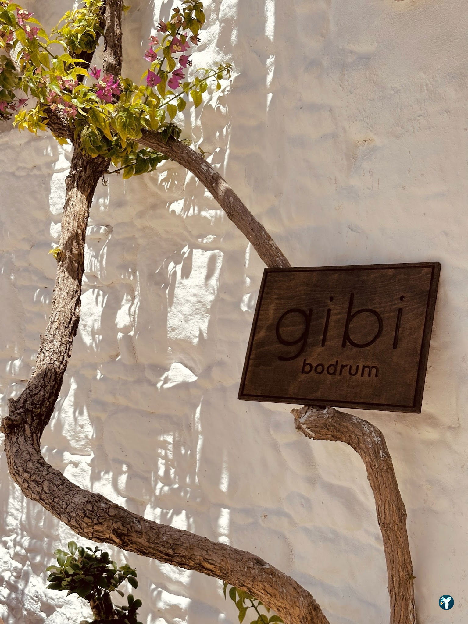 Gibi Bodrum