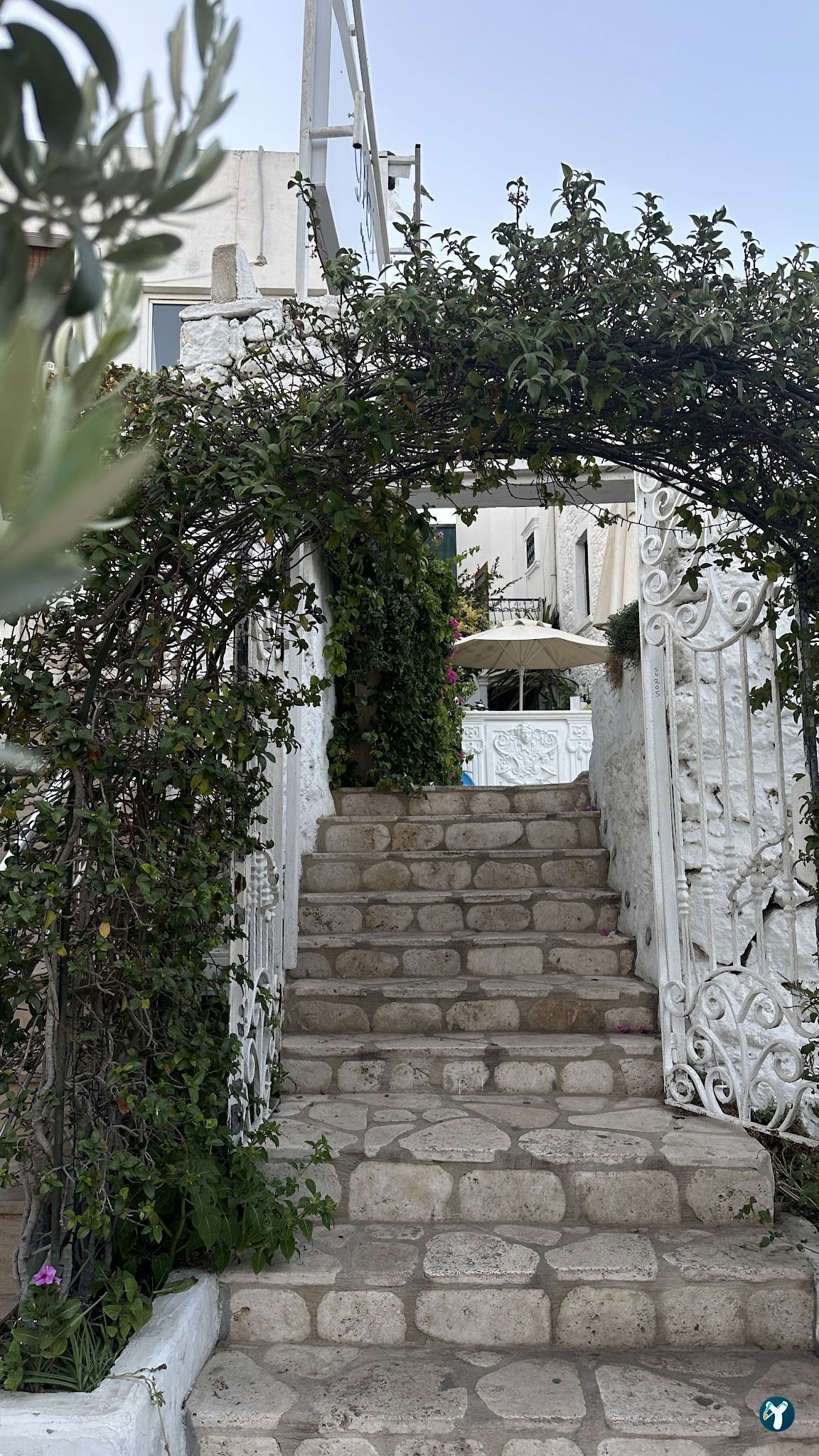 Gibi Bodrum