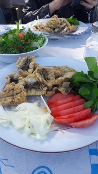 Zeytin Cafe & Restaurant Urla resimleri