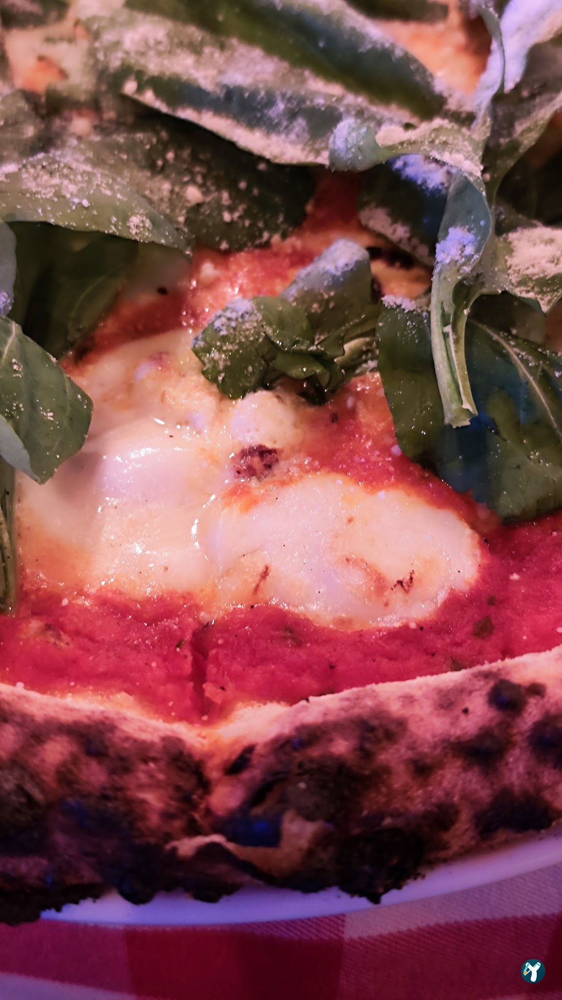 Nello'S Italian Restaurant - Erenköy