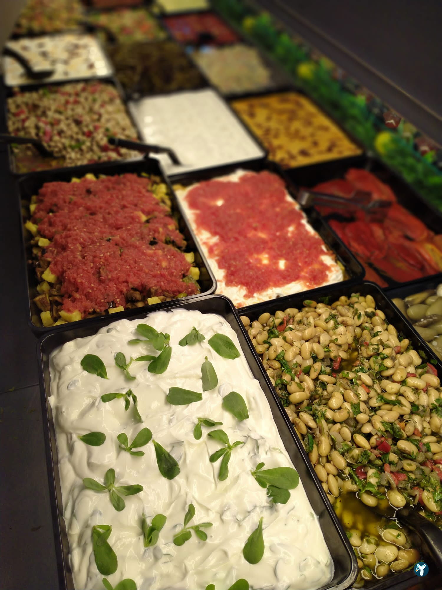 Chicken Gurme Pilic Cevirme & Meze Evi