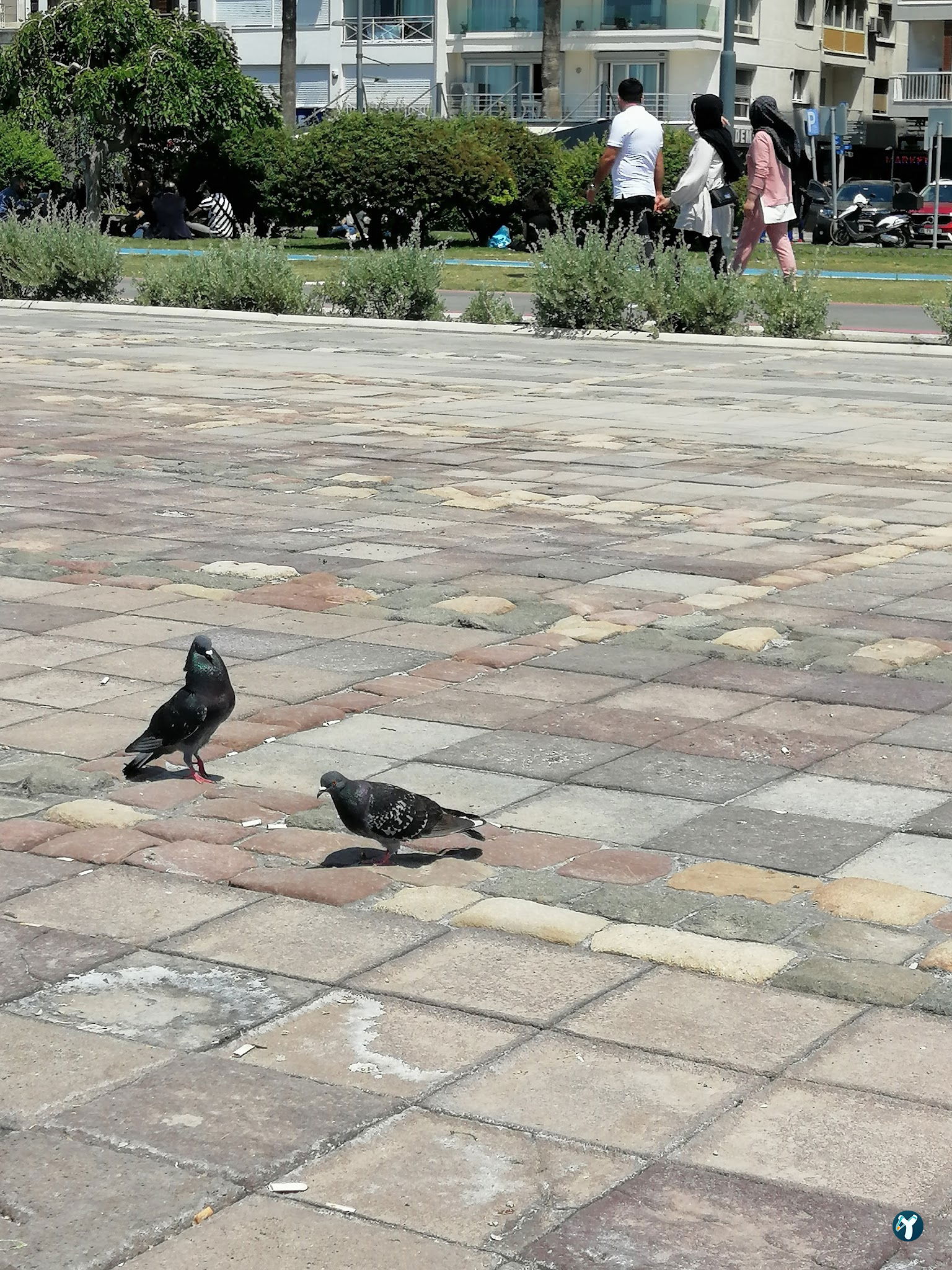 Kordon Alsancak Izmir