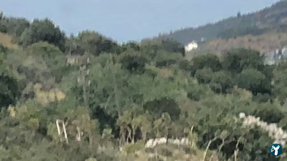 Farilya Restaurant Et Ve Balık