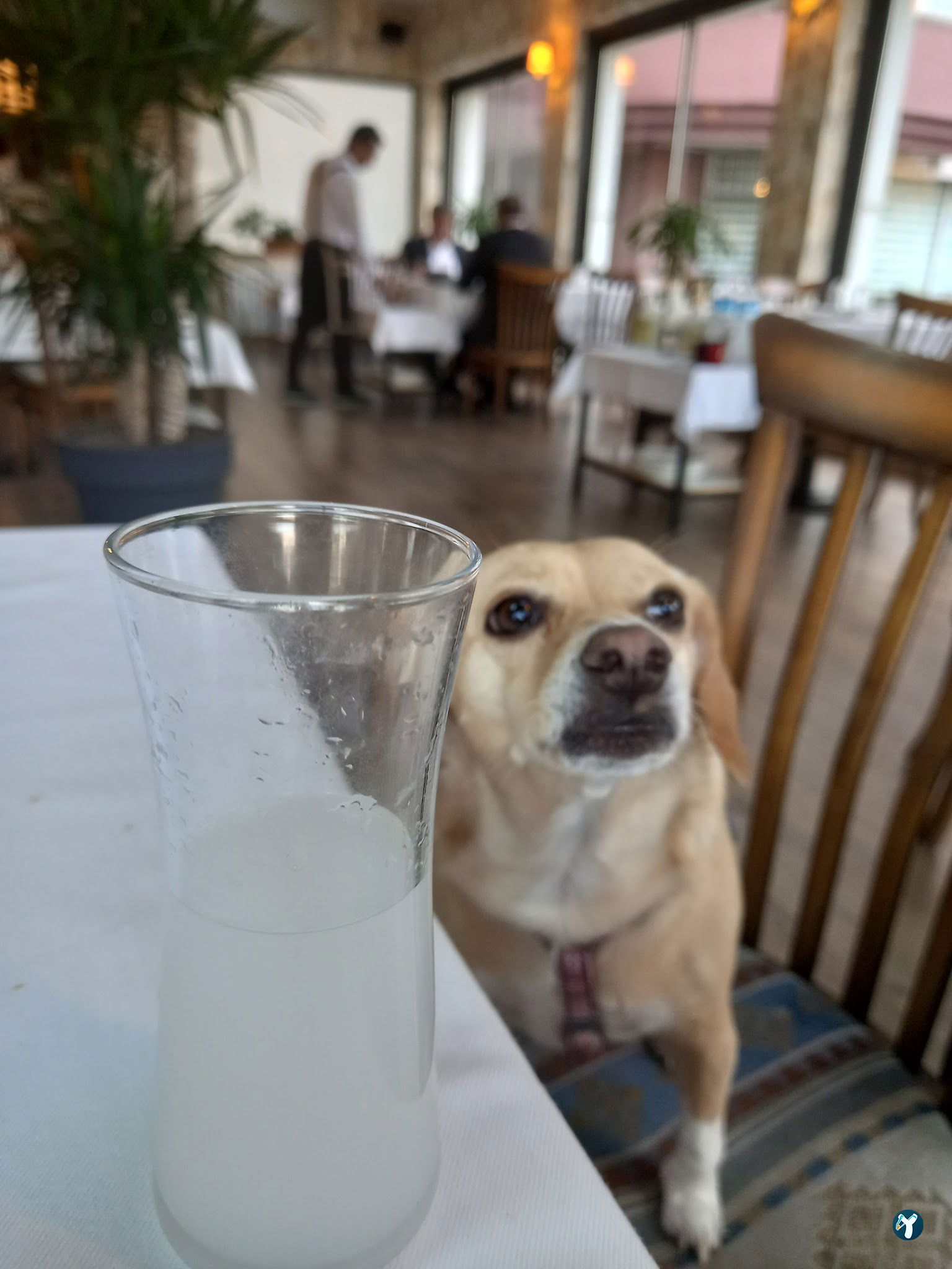 Yakamoz Alamatra Et Balık Restaurant