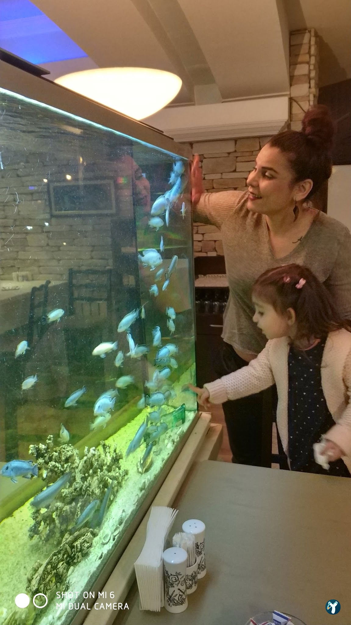 Yakamoz Alamatra Et Balık Restaurant