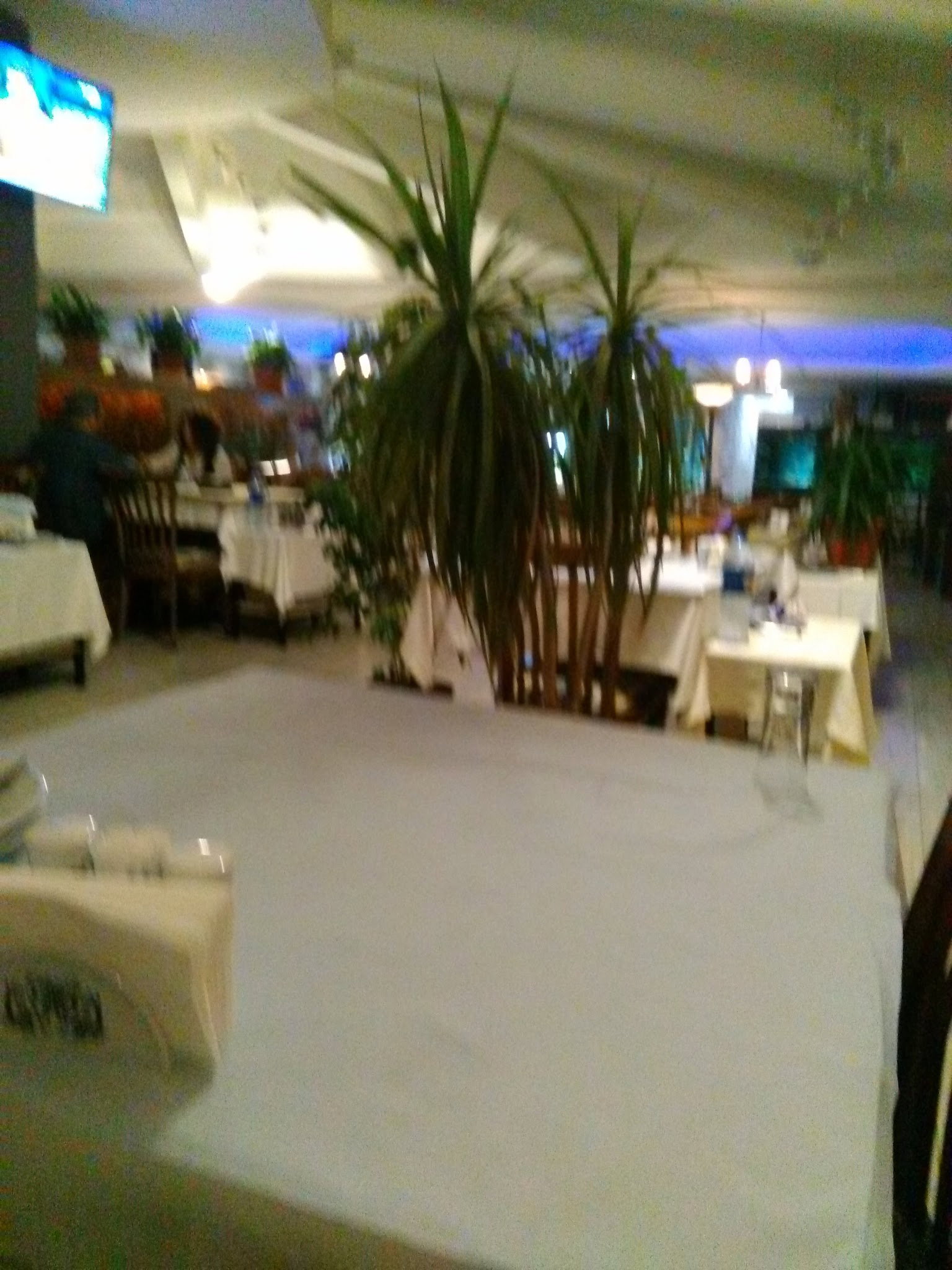 Yakamoz Alamatra Et Balık Restaurant