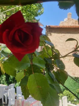 Saklı Bahçe Kahvaltı Ve Kafe resimleri