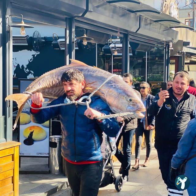 Ömer Kaptan Balık Retaurant - Iskenderun Balıkçılık