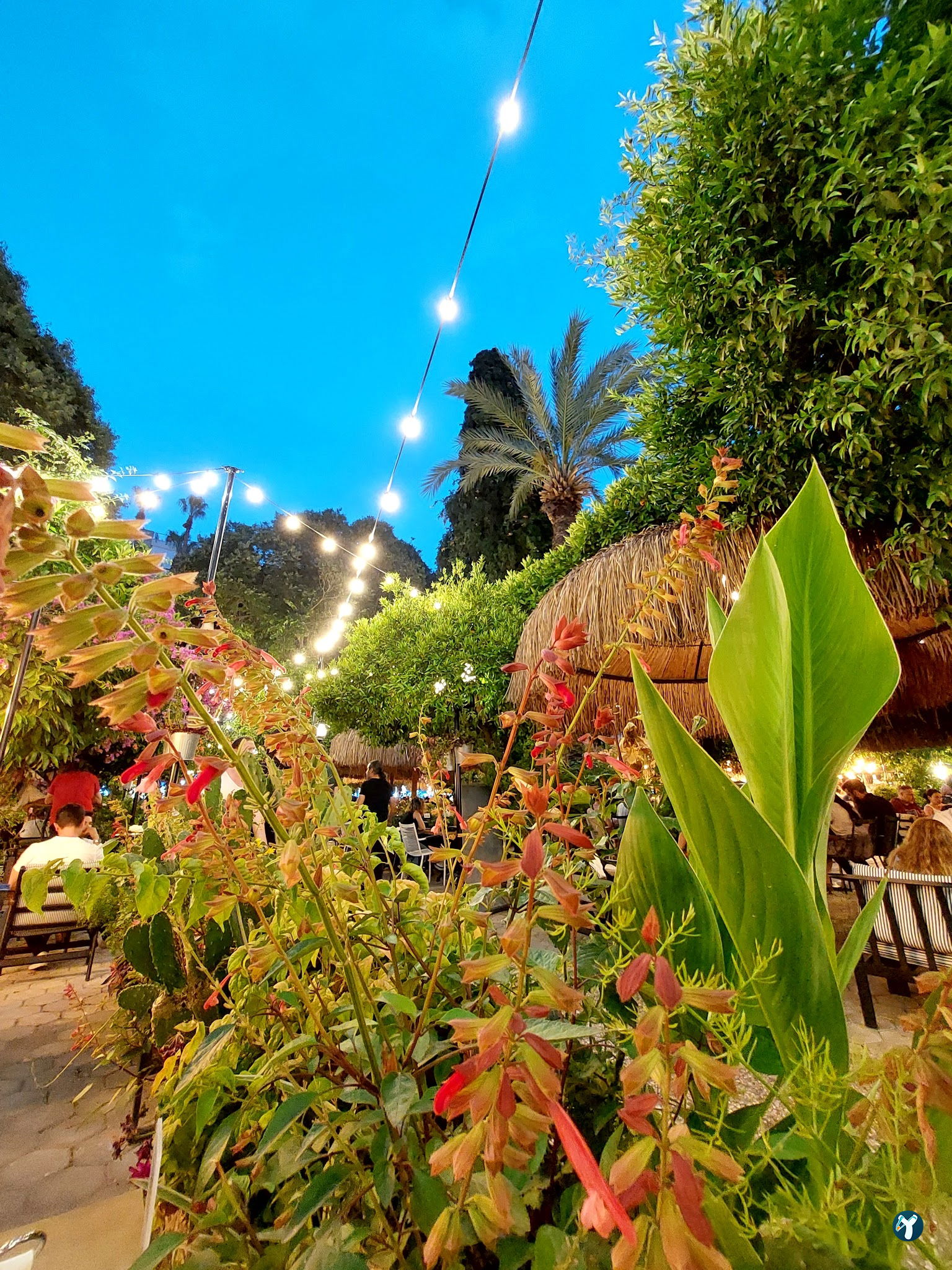 Luna Garden
