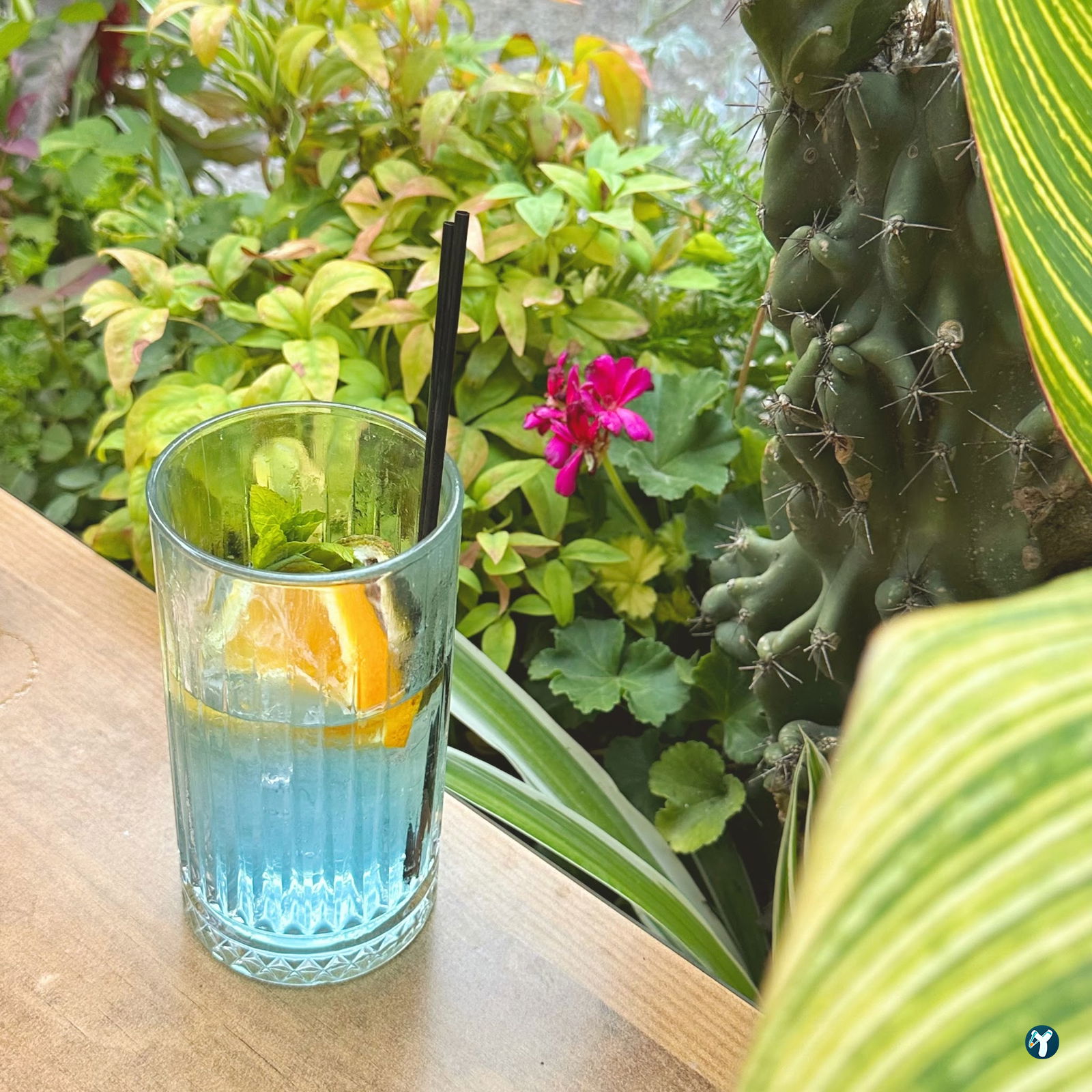 Luna Garden