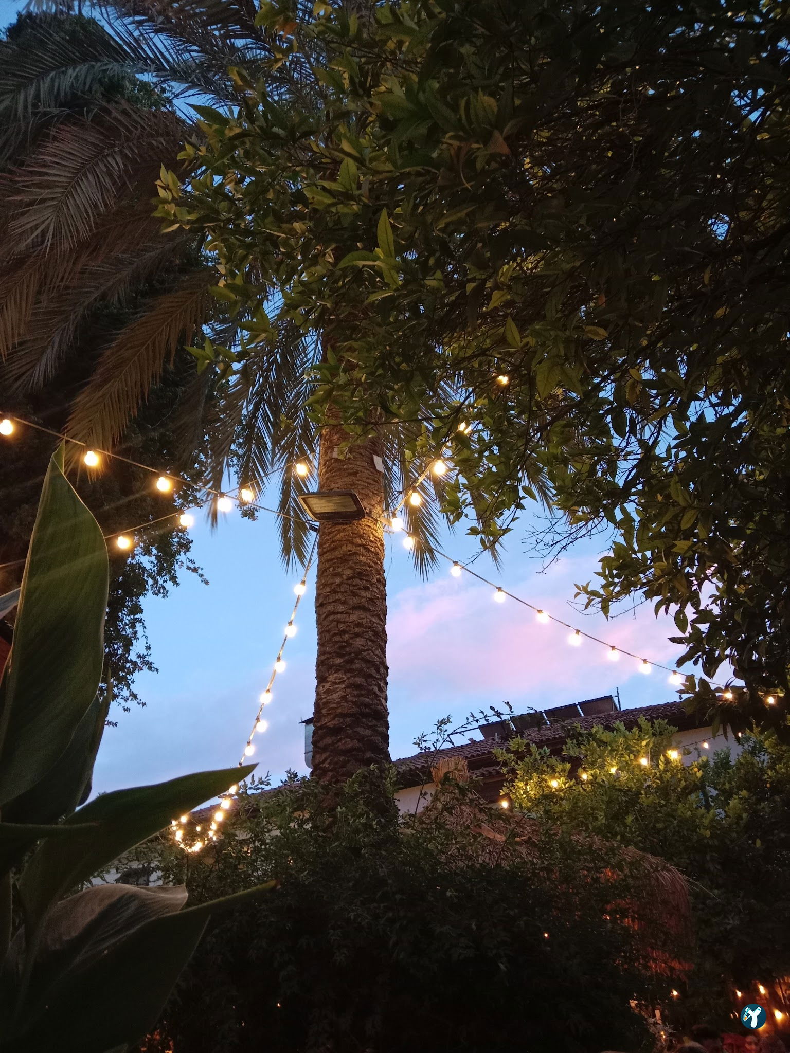Luna Garden