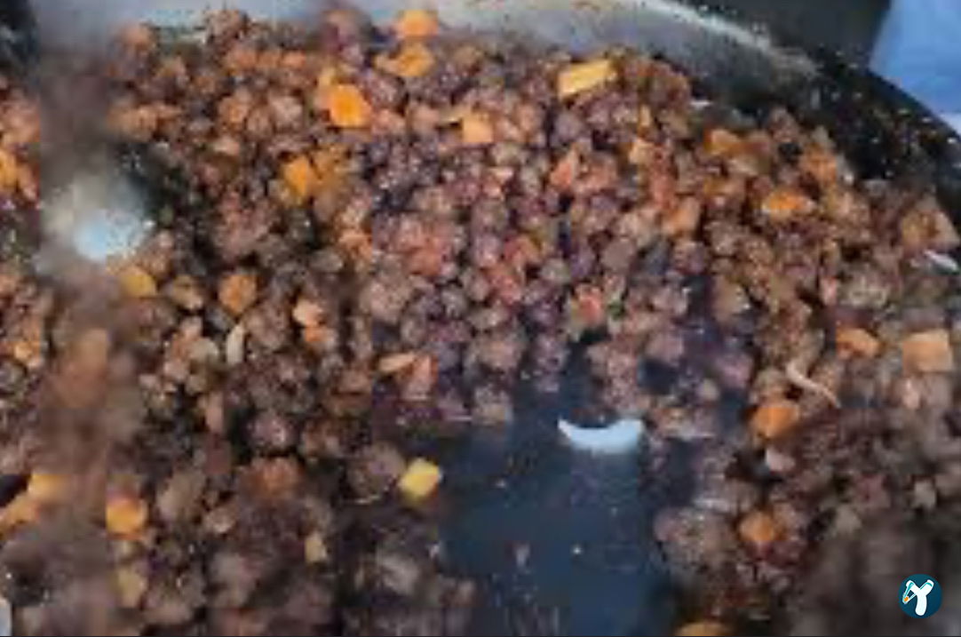 Ciğerci Sadi