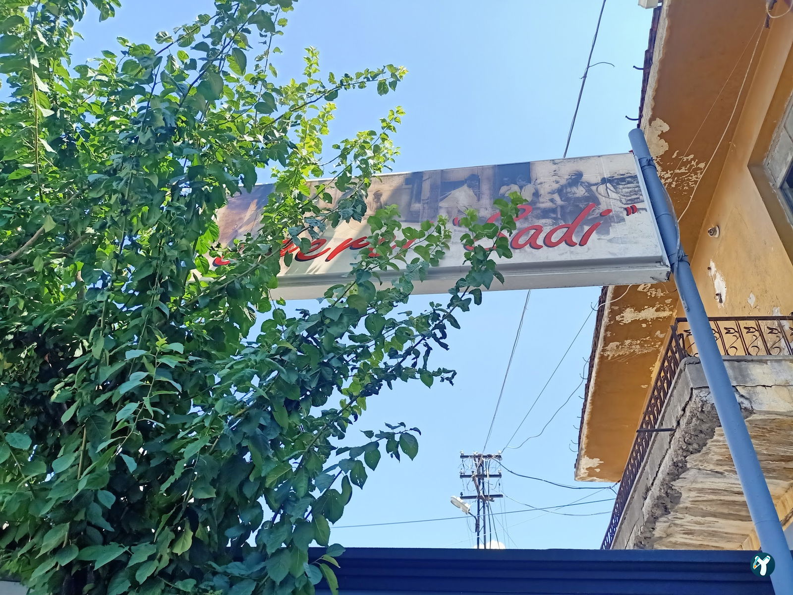 Ciğerci Sadi