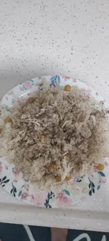 Pilavcı Nuri Usta resimleri