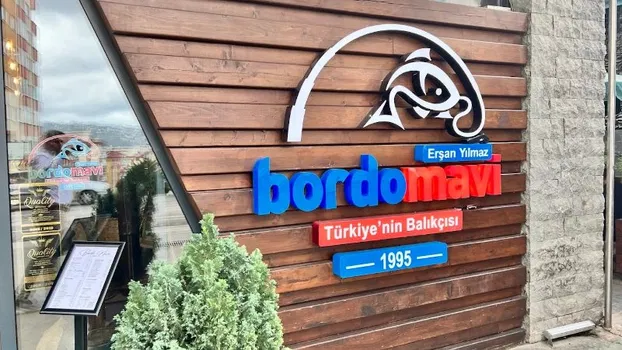 Bordo Mavi Balık-Erşan Yılmaz resimleri
