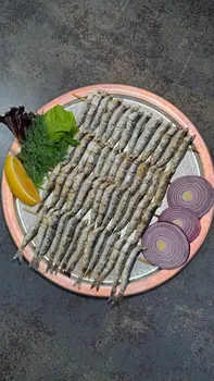 Bordo Mavi Balık-Erşan Yılmaz resimleri