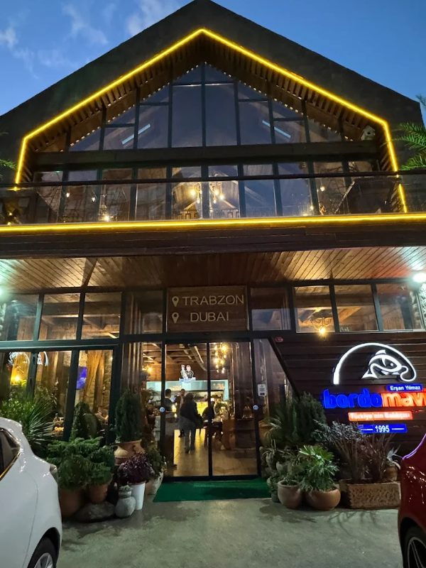 Bordo Mavi Balık-Erşan Yılmaz