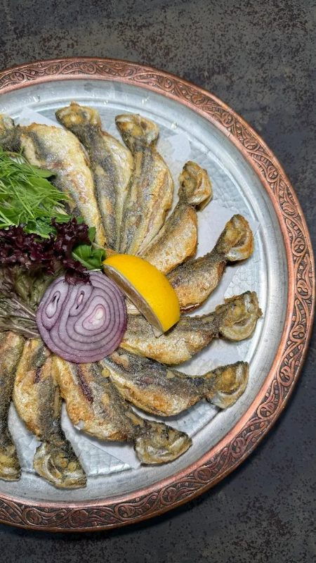 Bordo Mavi Balık-Erşan Yılmaz