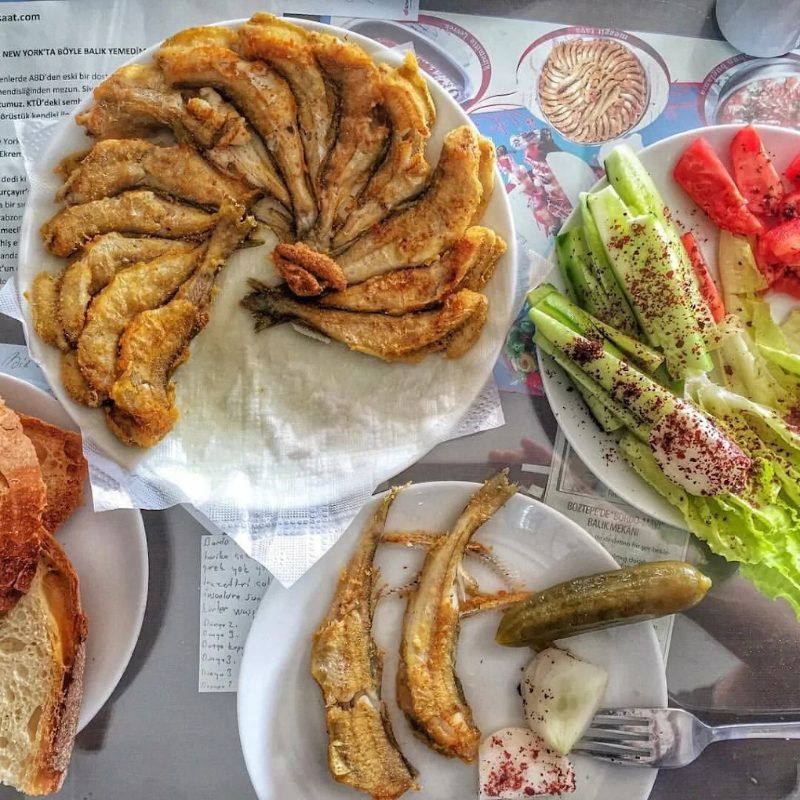 Bordo Mavi Balık-Erşan Yılmaz