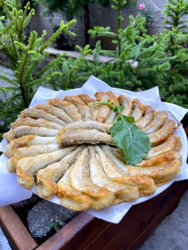 Bordo Mavi Balık-Erşan Yılmaz