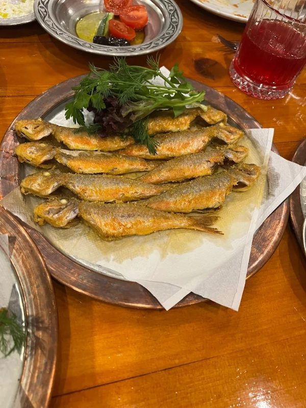 Bordo Mavi Balık-Erşan Yılmaz