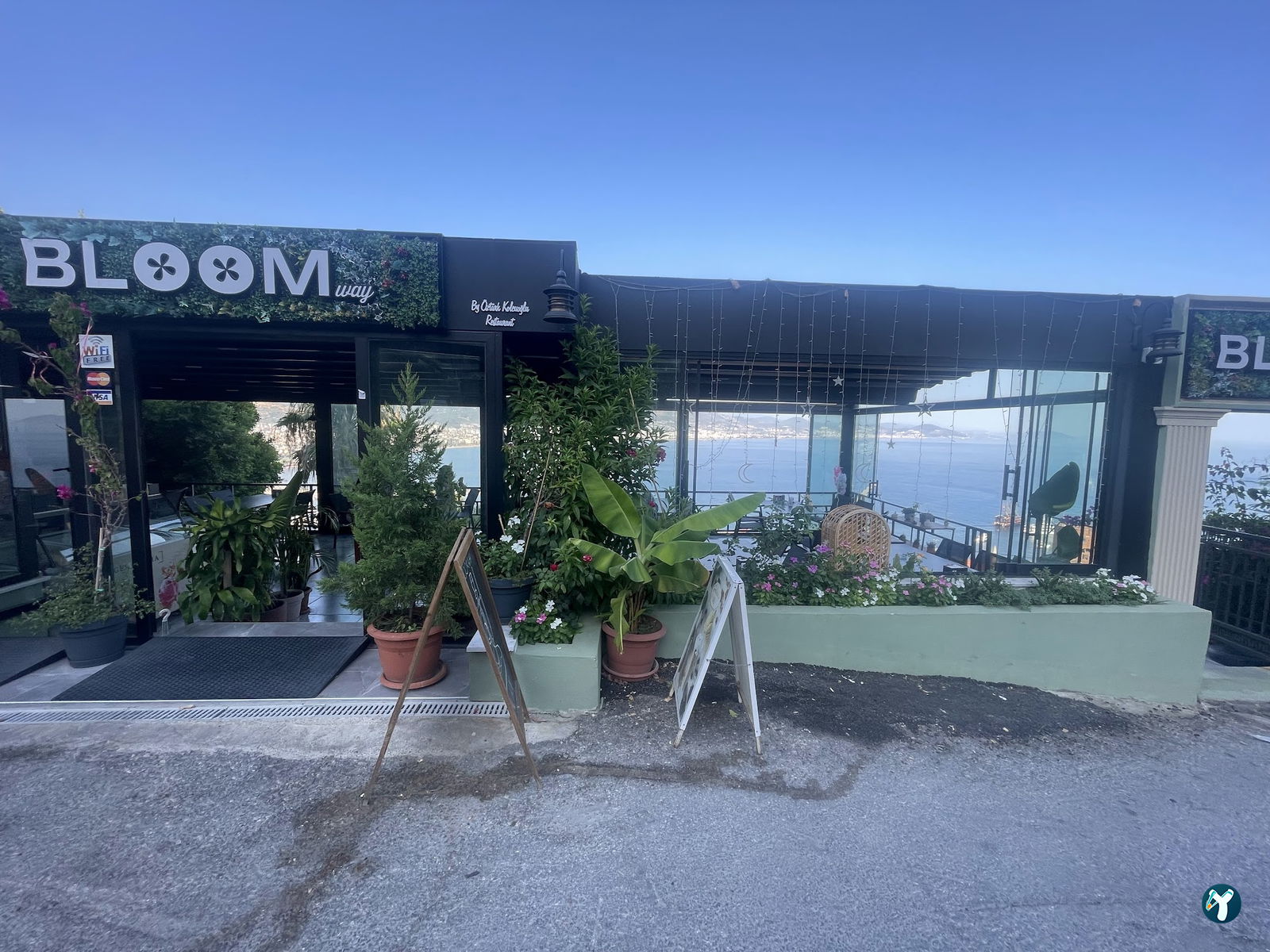 Bloom Way