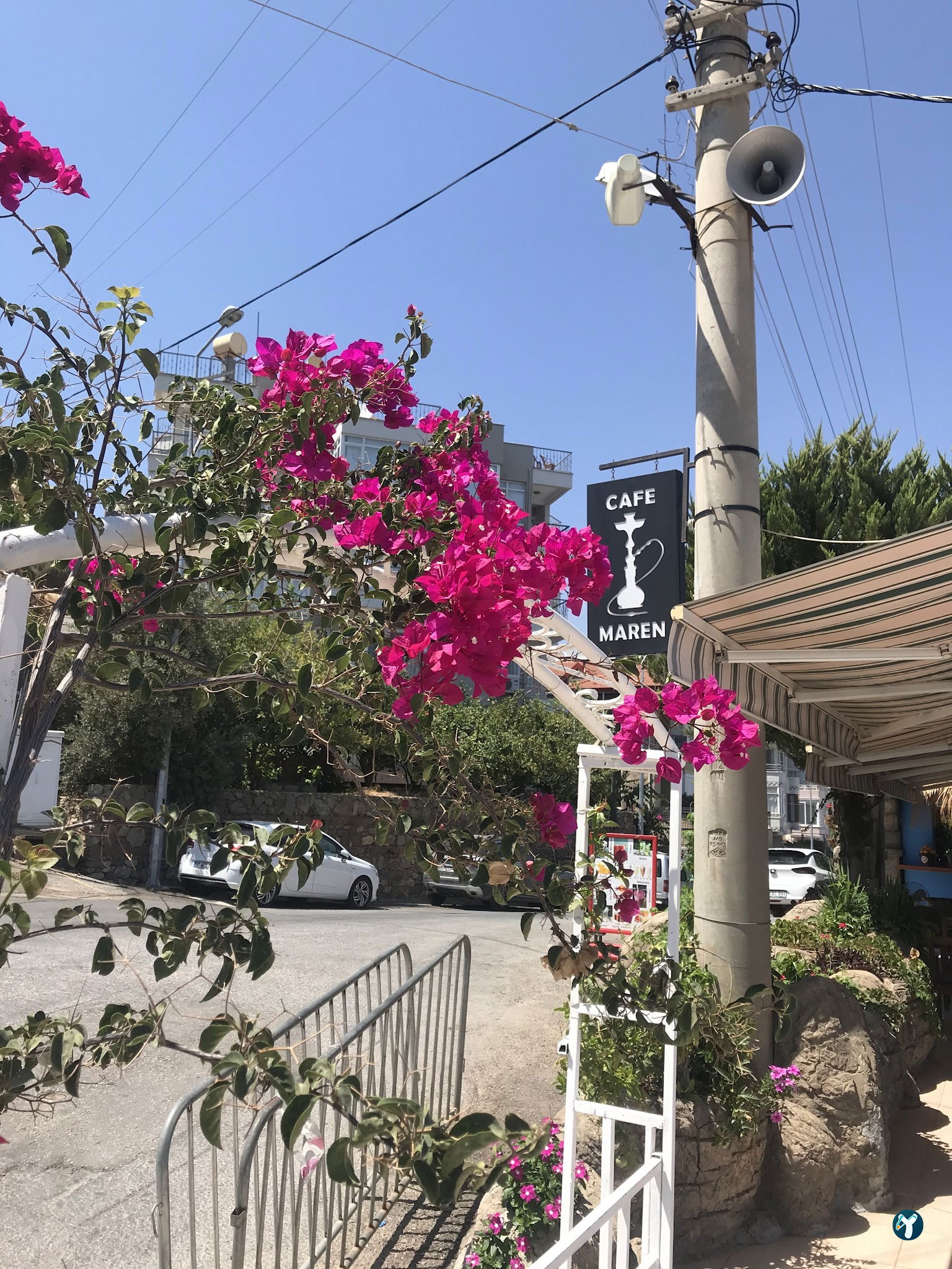 Bloom Way