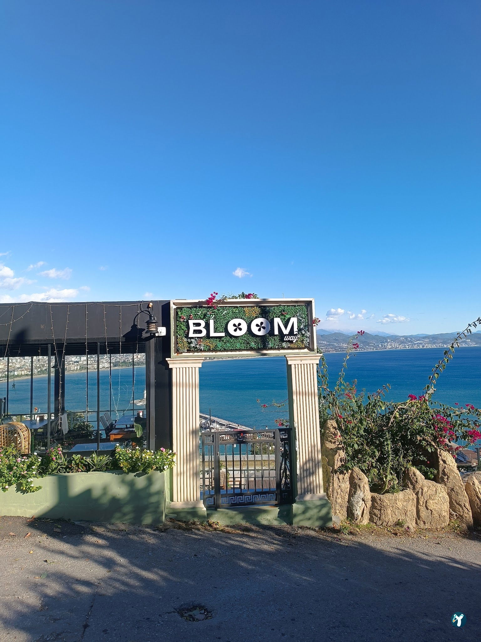 Bloom Way