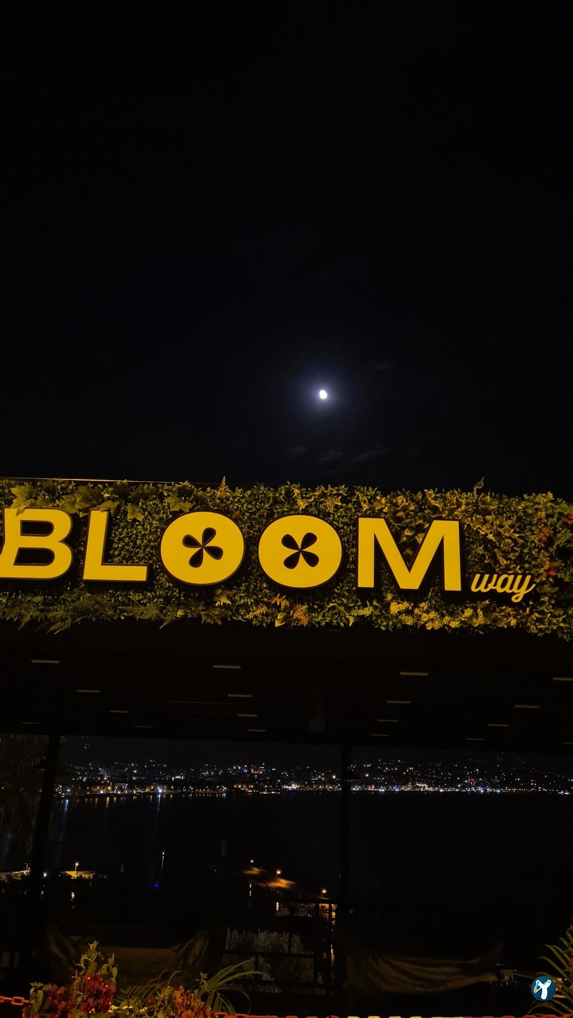 Bloom Way