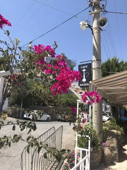Bloom Way resimleri Bloom Way resimleri
