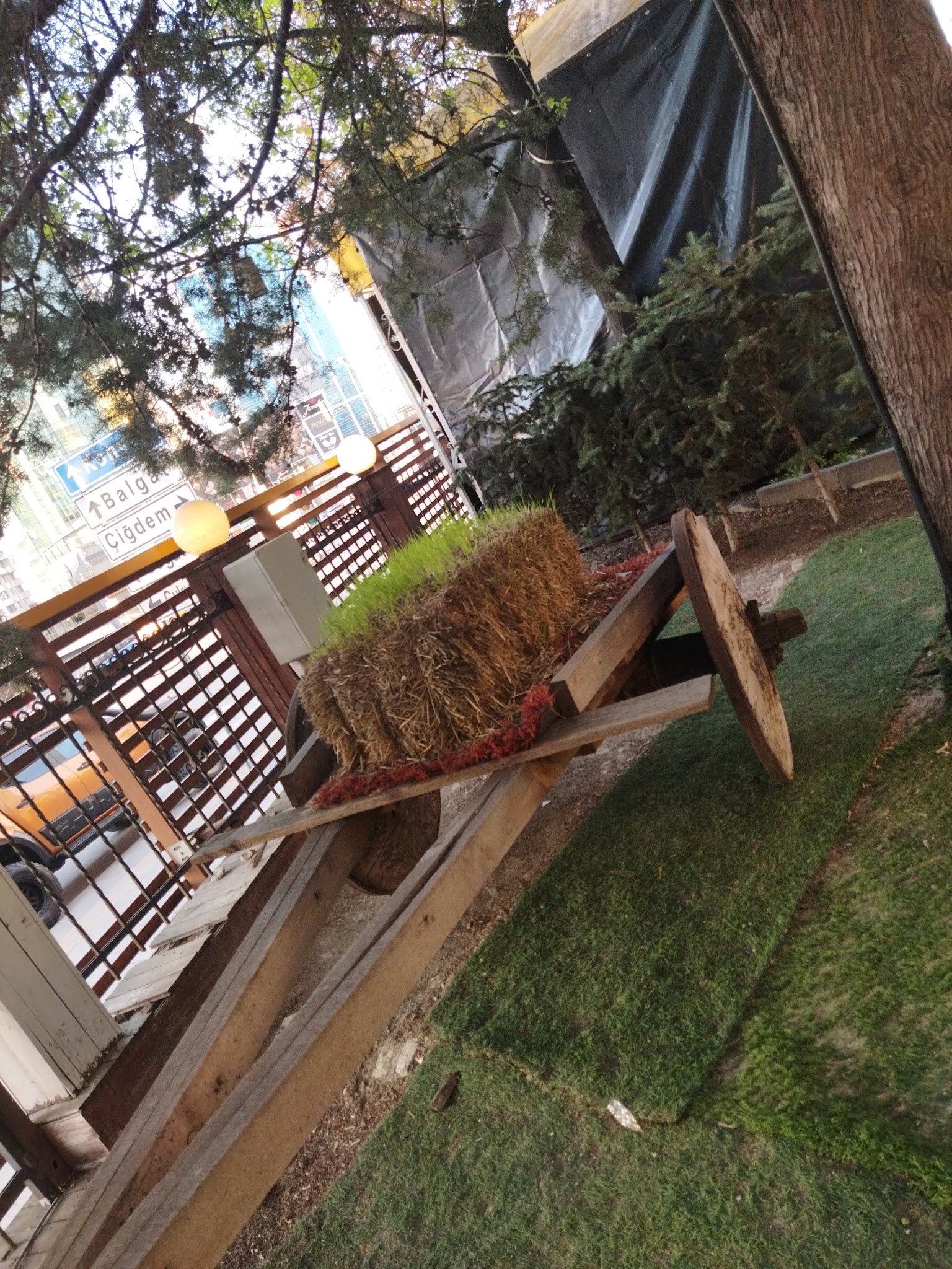 Shisha Cafe & Bistro