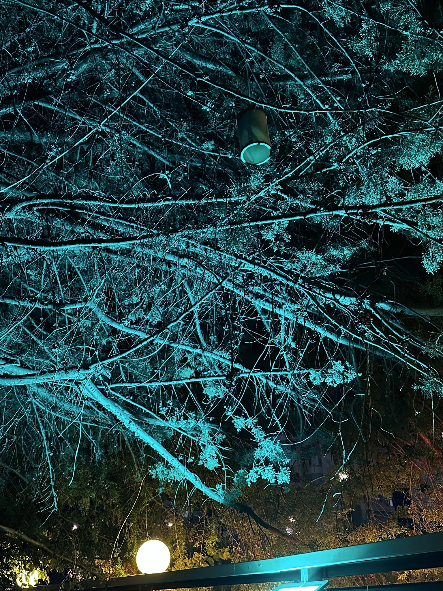 Shisha Cafe & Bistro