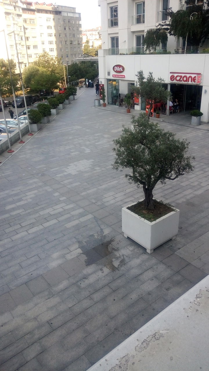 Dilek Cafe & Restaurant