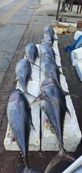 Ahsen Balik Restaurant resimleri
