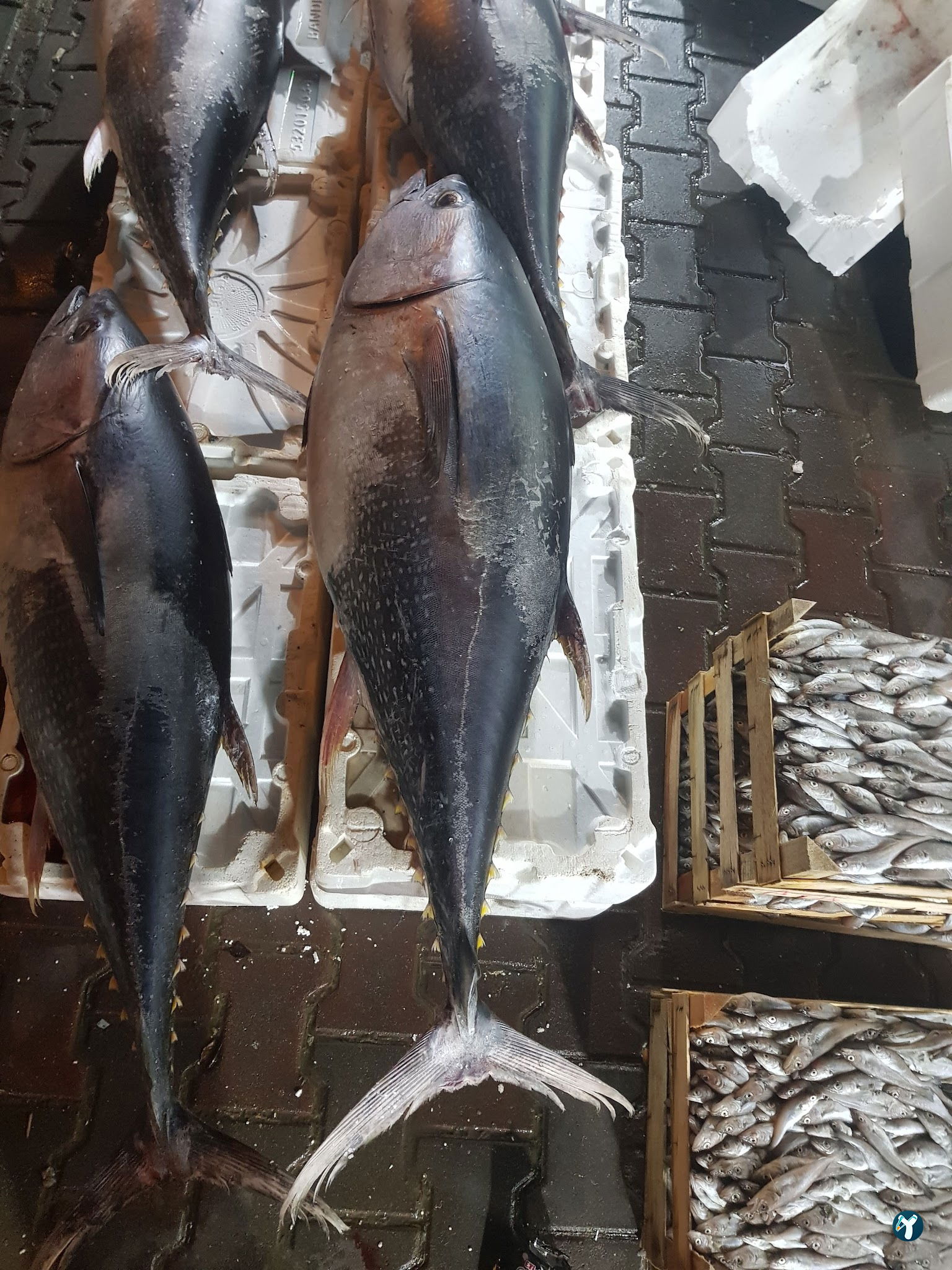 Ahsen Balik Restaurant