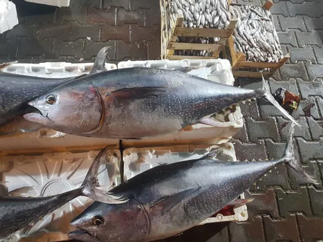 Ahsen Balik Restaurant resimleri