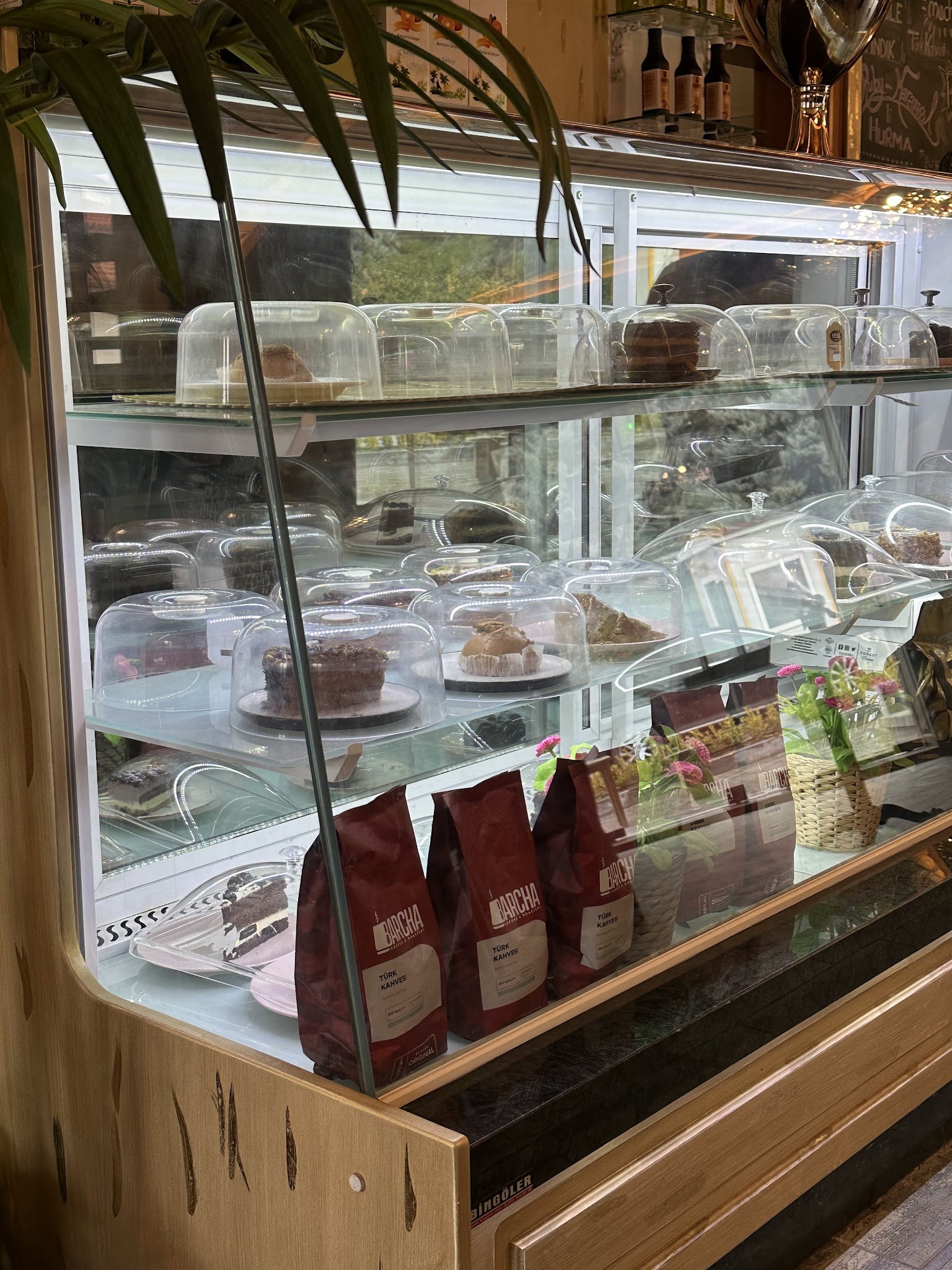 Yeşi̇l Nfk Kafe&Hurma