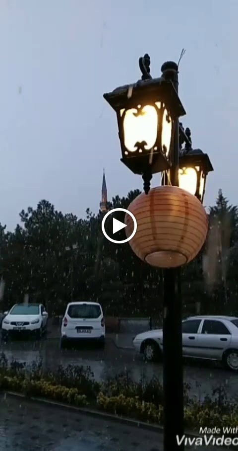 Yeşi̇l Nfk Kafe&Hurma