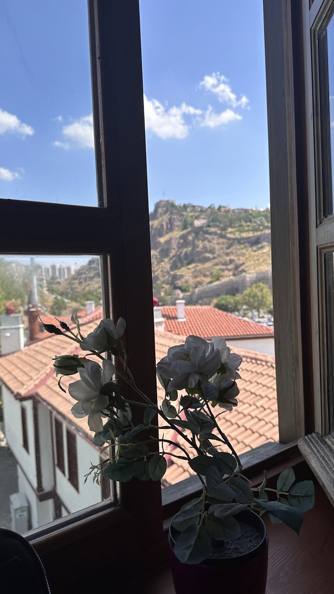 Yeşi̇l Nfk Kafe&Hurma