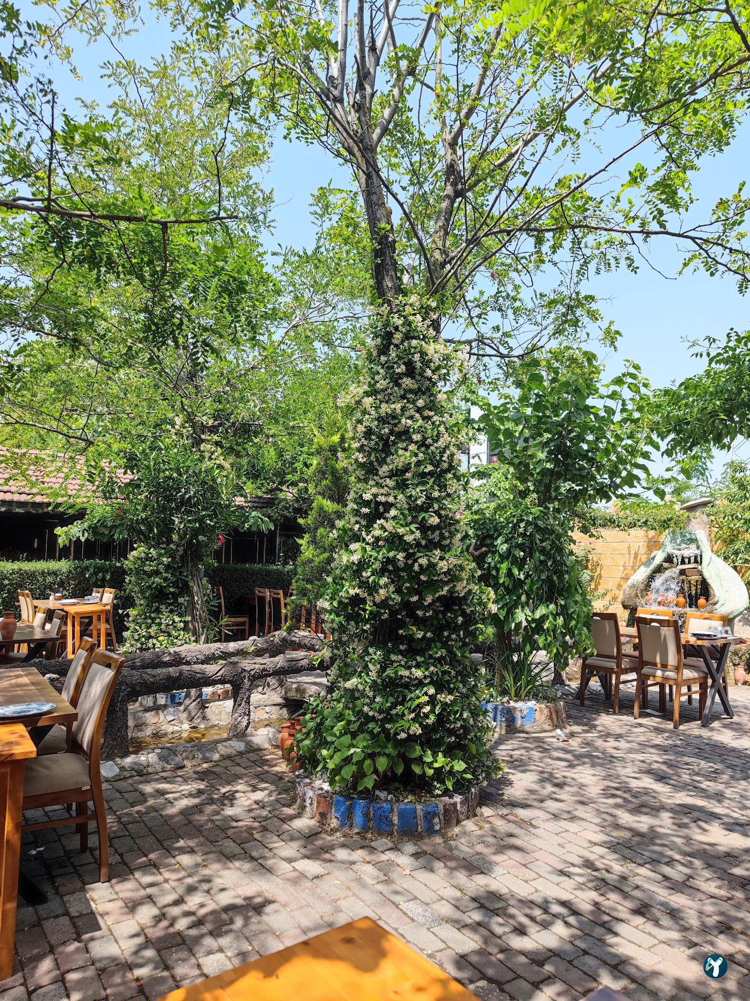 Etzade Eşsiz Anadolu Lezzetleri - Testi Kebabı, Dana Lokum - Kahvaltı