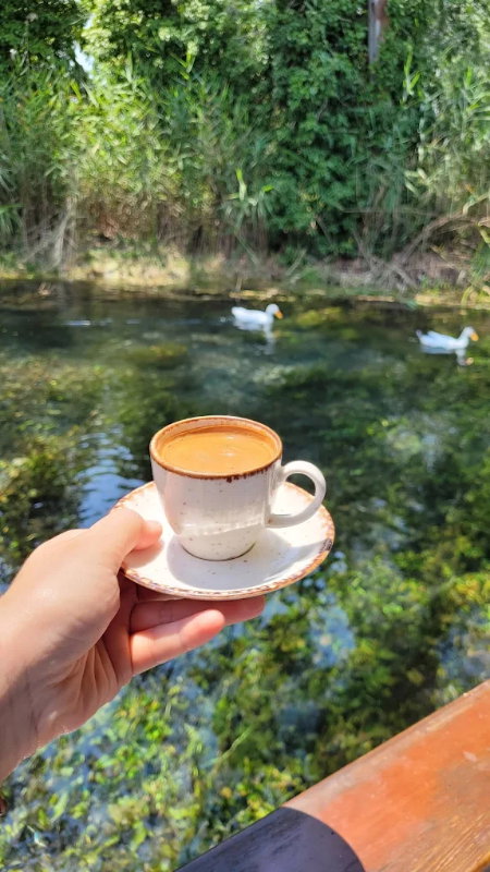 Cennet Restaurant - Azmak Başı Akyaka