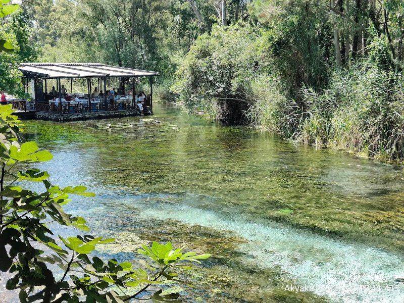 Cennet Restaurant - Azmak Başı Akyaka