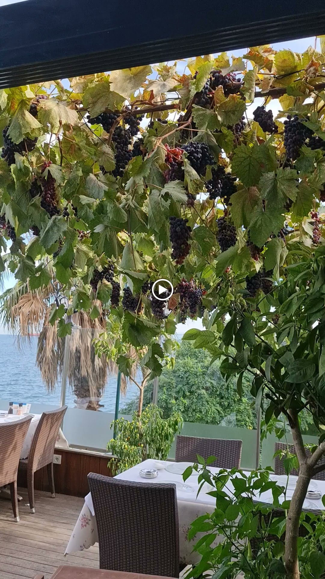 Fener Balık Lokantası