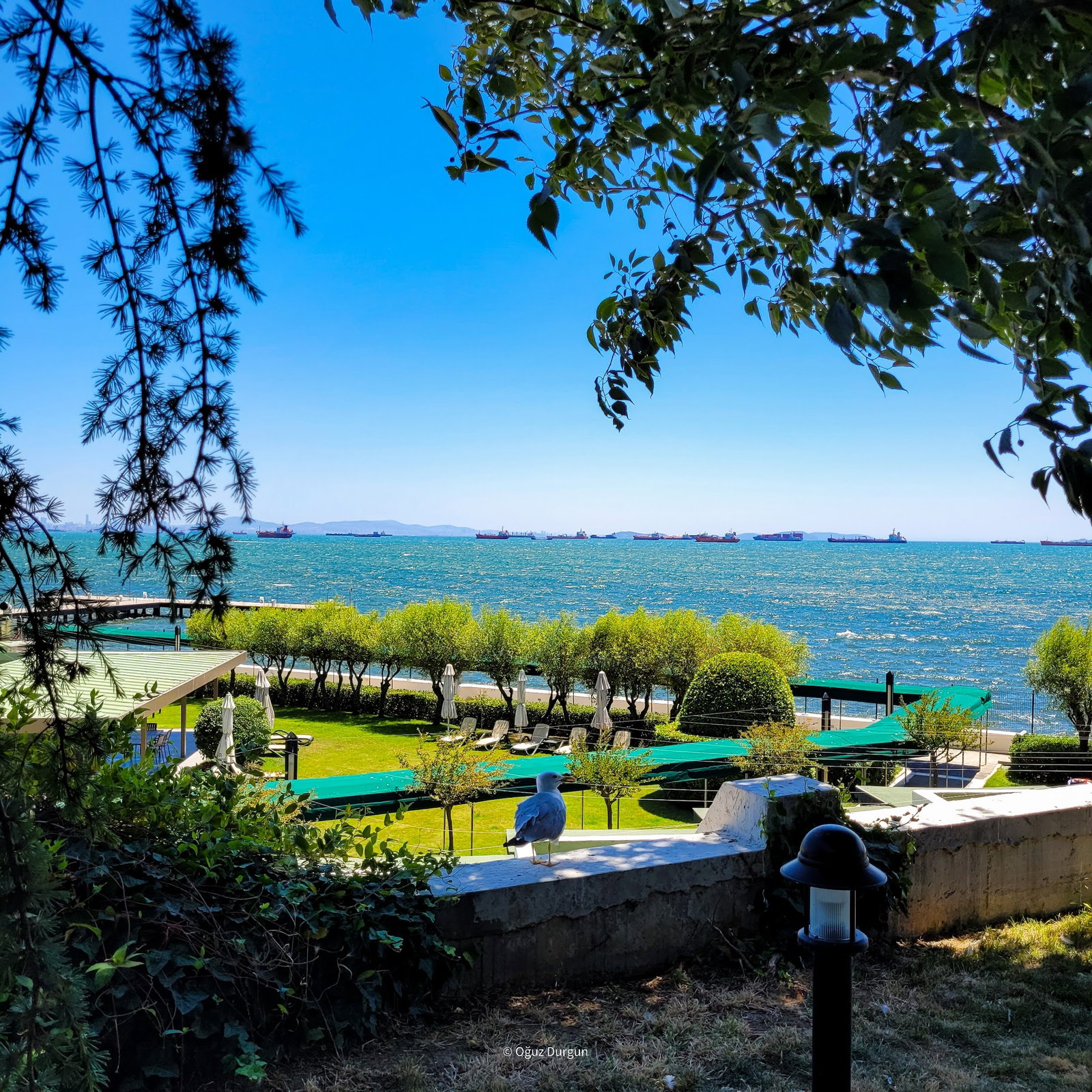 Fener Balık Lokantası